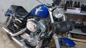 Harley-Davidson 883 Custom (2008 - 12) - XL 883C  (4)