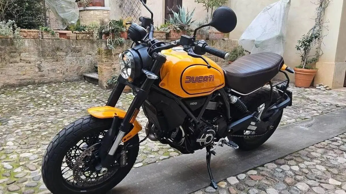 Ducati Scrambler 1100 Tribute Pro (2022 - 24) 