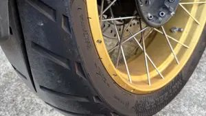 Bmw R 1250 GS (2019 - 20)  (7)