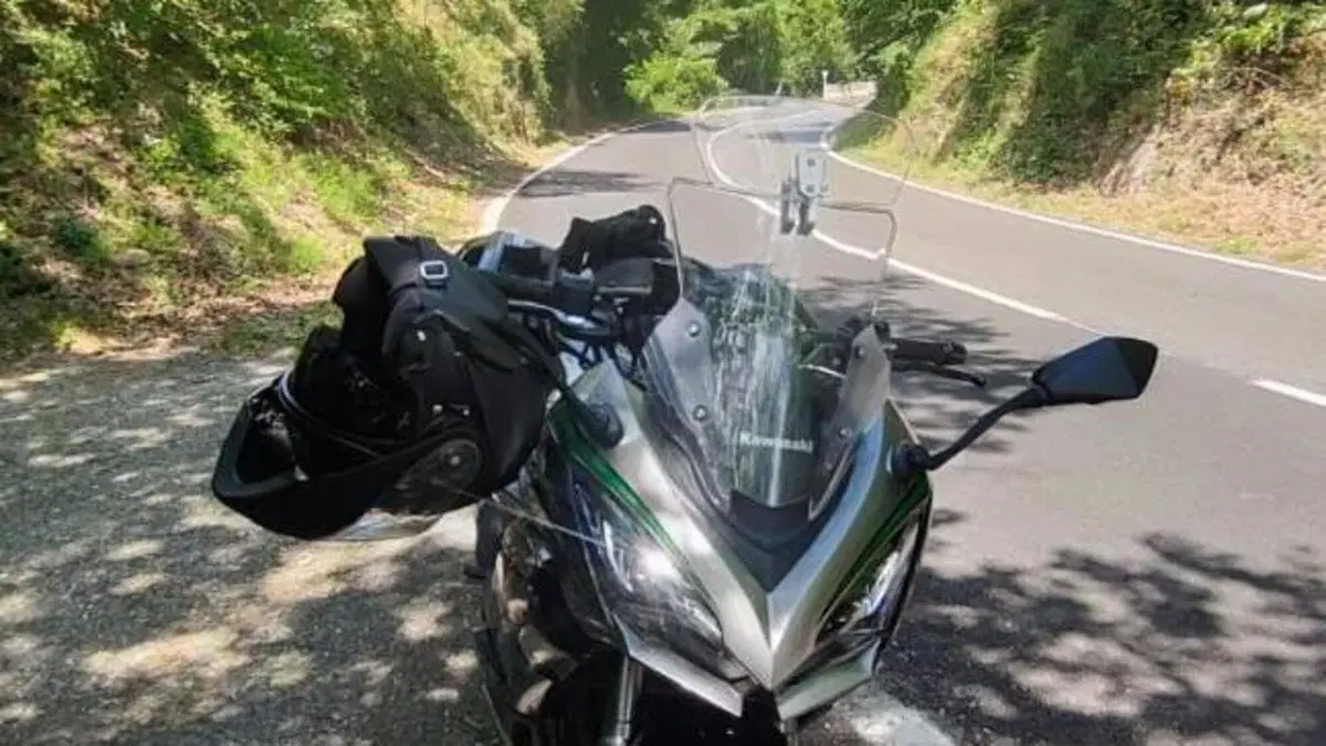 Kawasaki Ninja 1000 SX (2020)  (3)