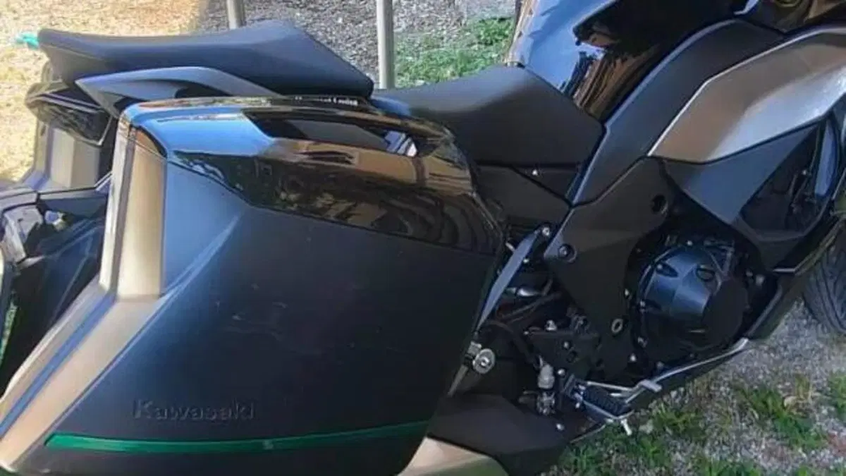 Kawasaki Ninja 1000 SX (2020)  (7)
