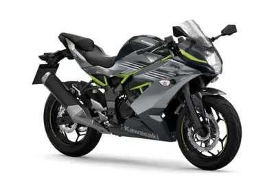 Kawasaki Ninja 125 (2025 - 26) - Annuncio 10067701