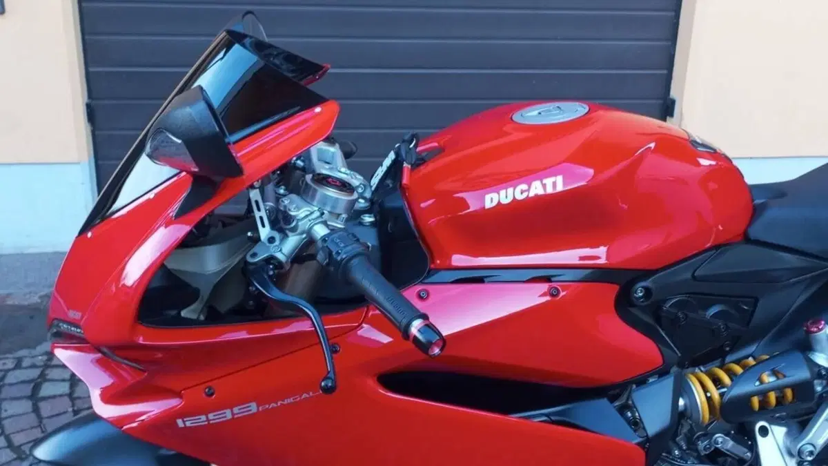Ducati 1299 Panigale (2015 - 17)  (12)