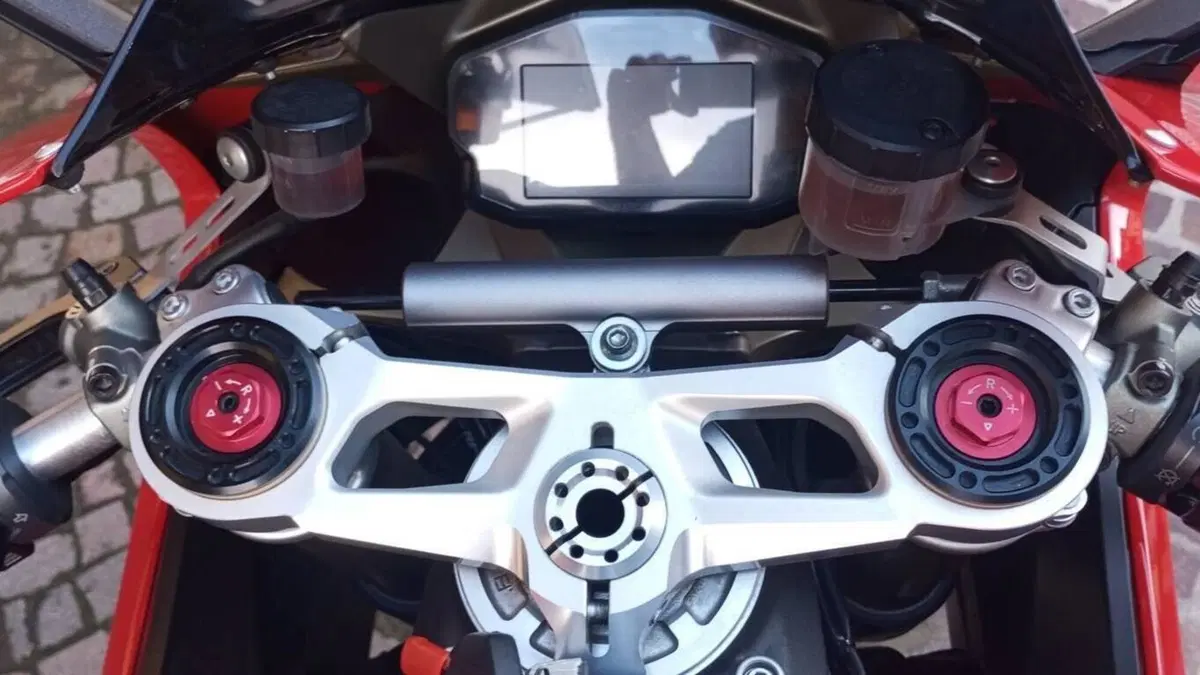Ducati 1299 Panigale (2015 - 17)  (17)