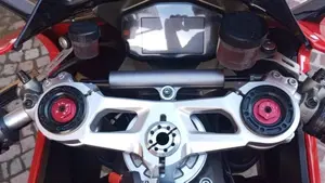 Ducati 1299 Panigale (2015 - 17)  (17)