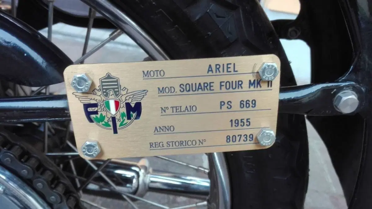 Ariel   (6)