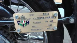 Ariel   (6)