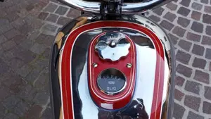 Bianchi   (5)