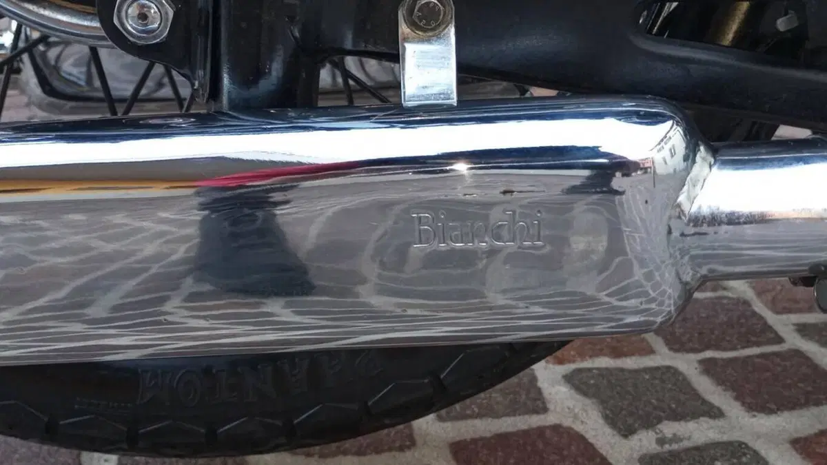 Bianchi   (7)