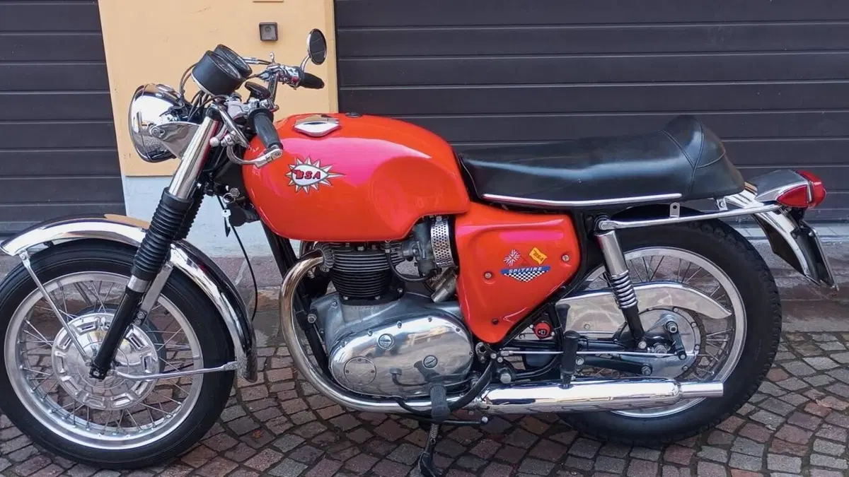 Bsa   (2)