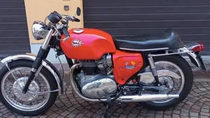 Bsa   (2)