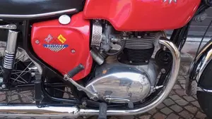 Bsa   (3)