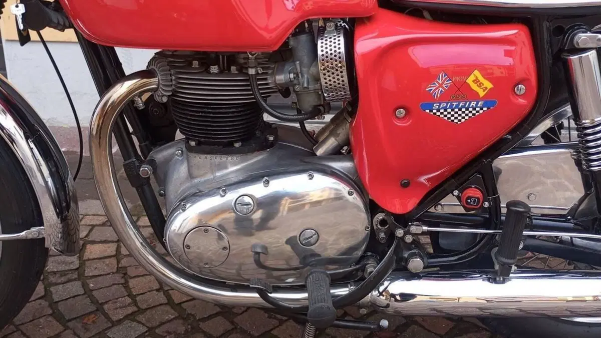 Bsa   (5)