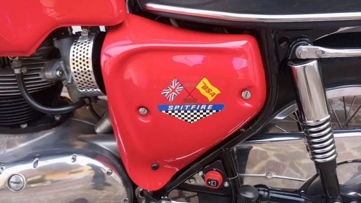 Bsa   (7)