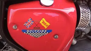 Bsa   (8)