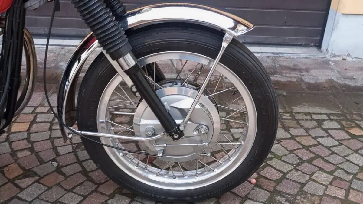Bsa   (10)