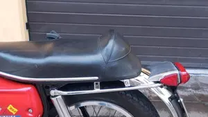 Bsa   (12)