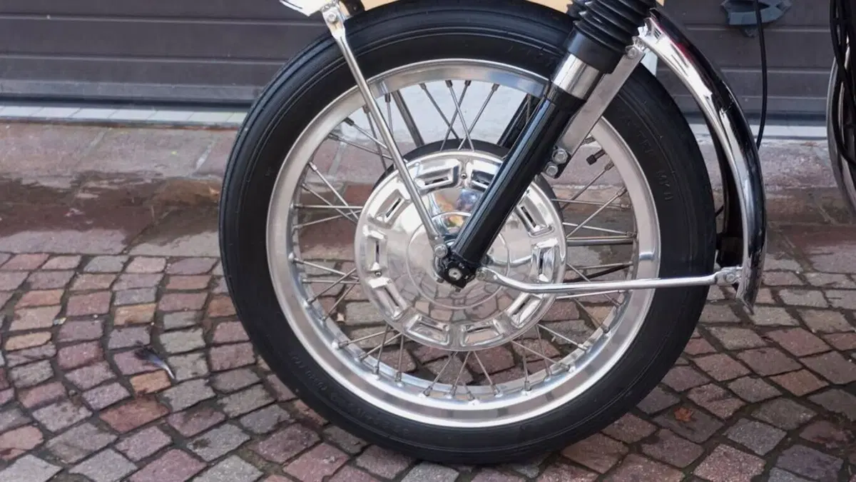 Bsa   (14)