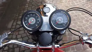 Bsa   (15)