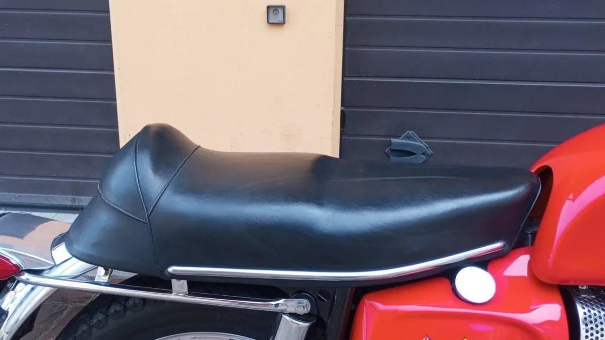 Bsa   (16)