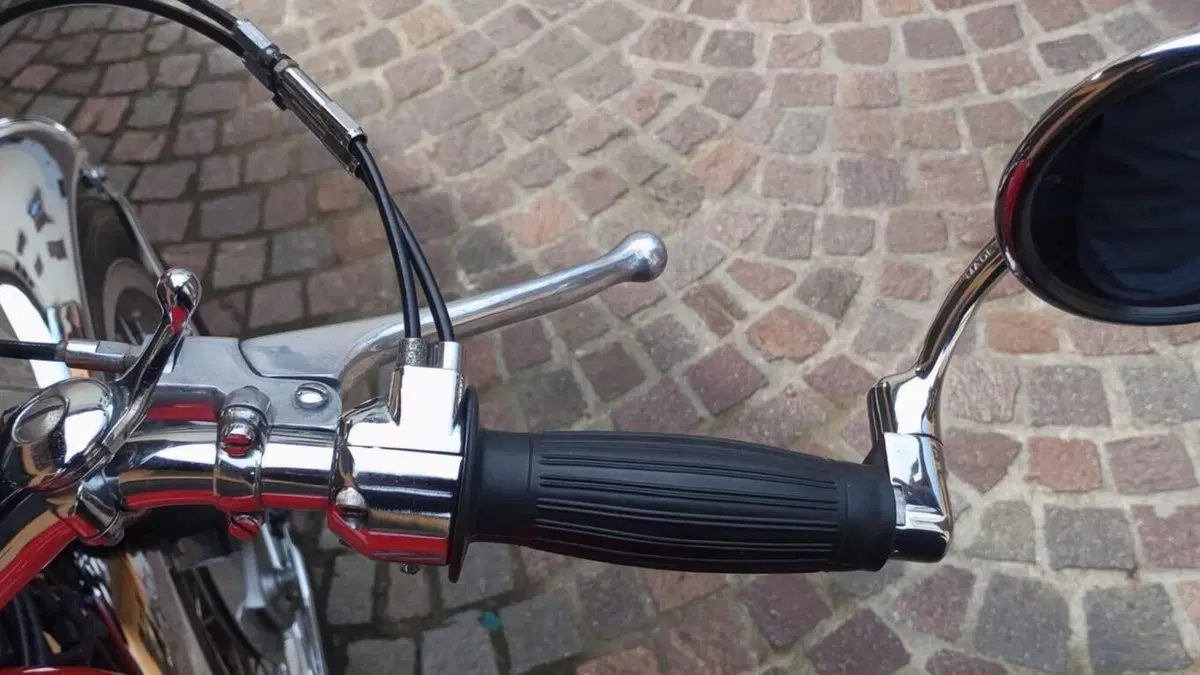 Bsa   (17)