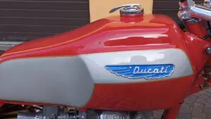 Ducati   (6)