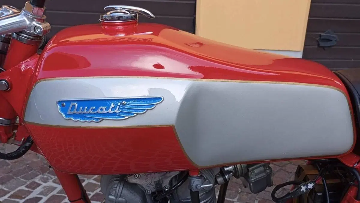 Ducati   (18)