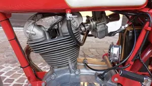 Ducati   (19)