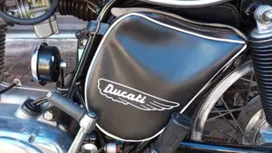 Ducati   (6)