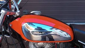 Ducati   (10)