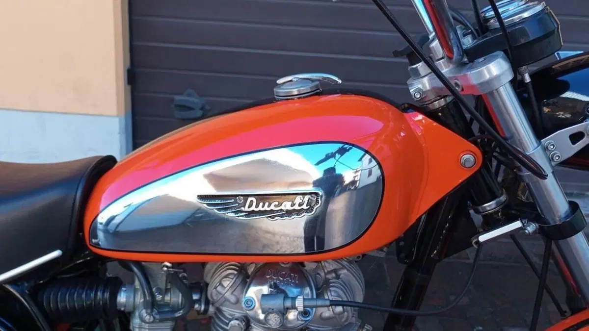 Ducati   (11)
