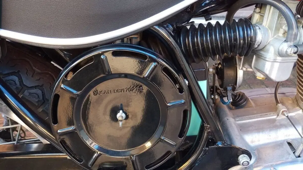 Ducati   (13)