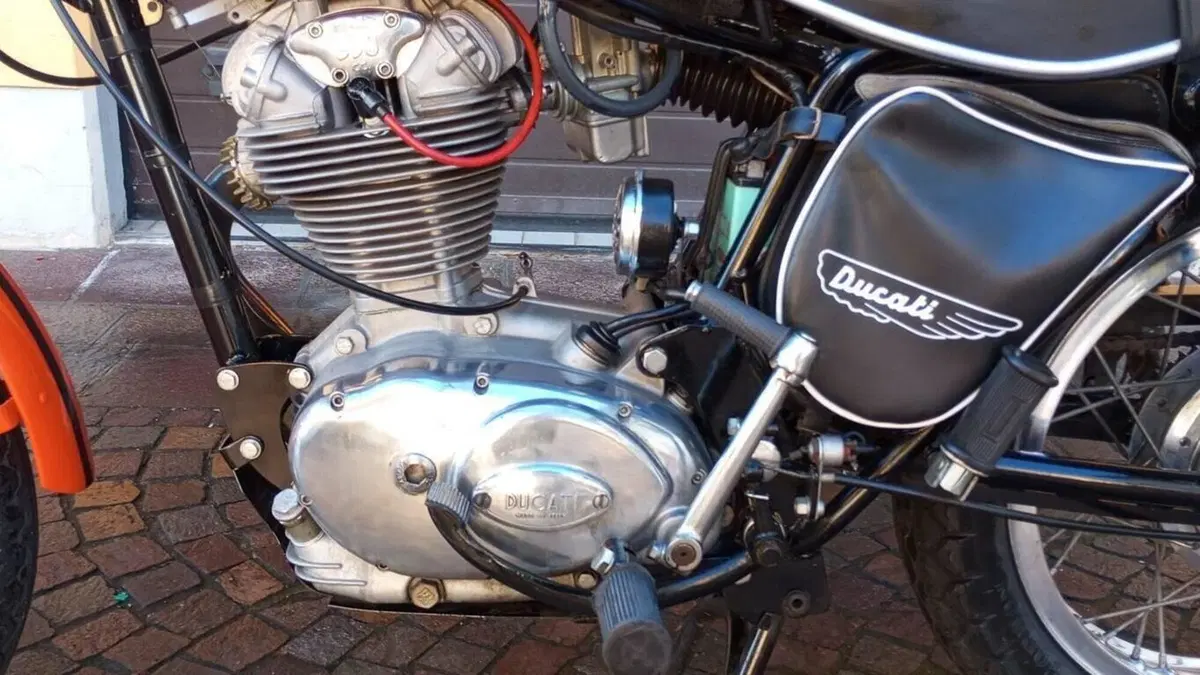 Ducati   (15)