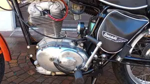 Ducati   (15)