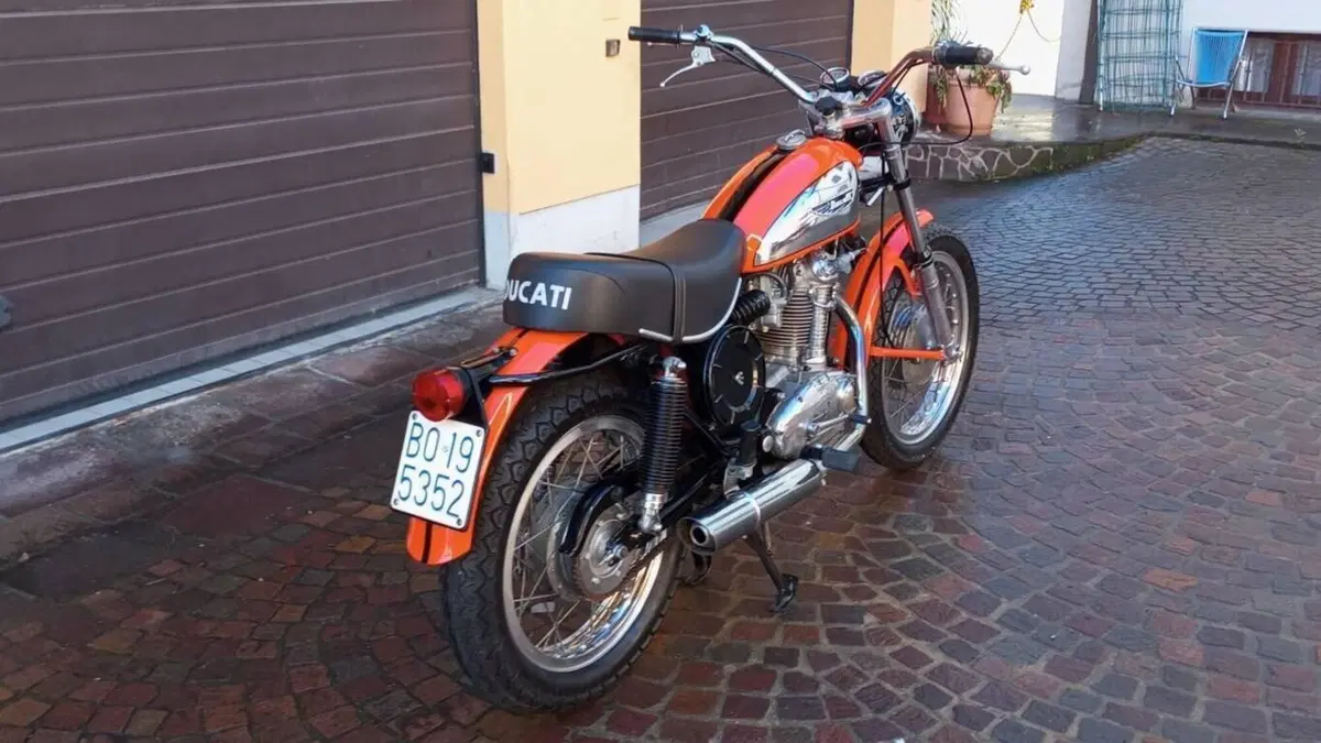 Ducati   (19)