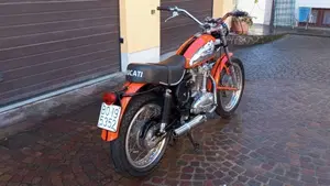 Ducati   (19)