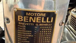 Benelli   (18)