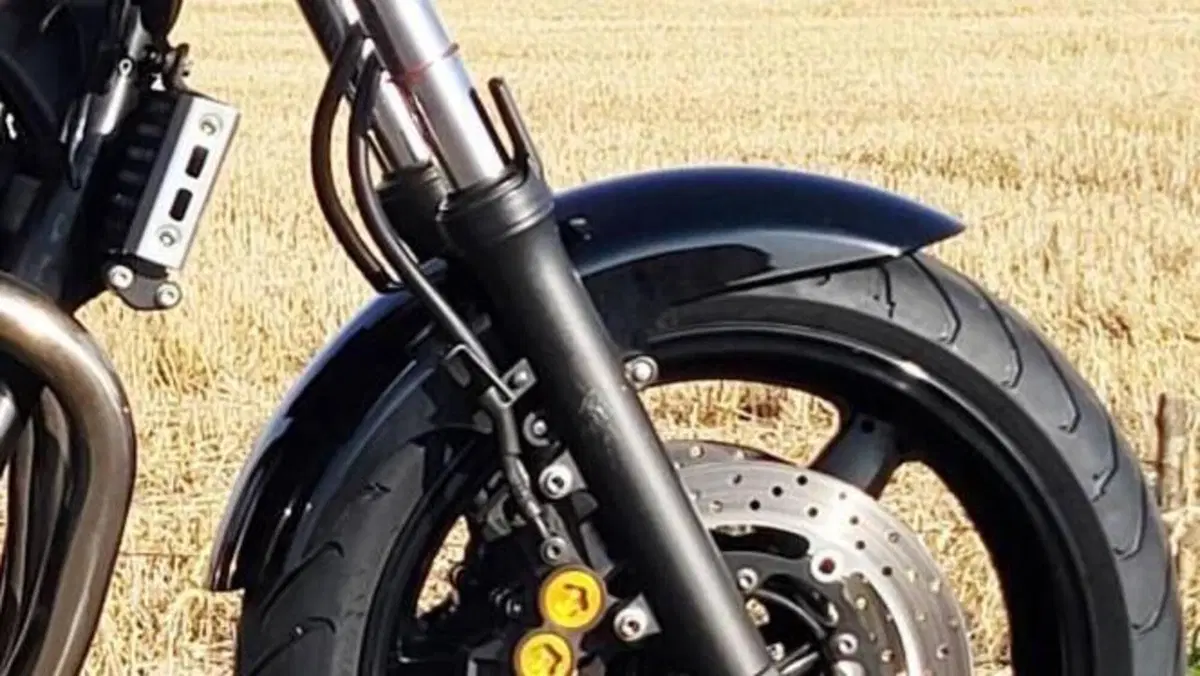 Yamaha XJR 1300 (2006 - 14)  (6)