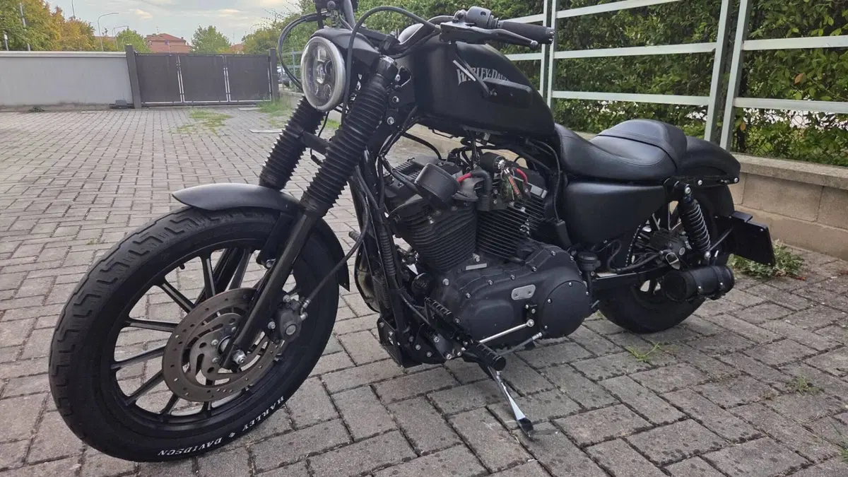 Harley-Davidson 883 Custom (2008 - 12) - XL 883C  (2)