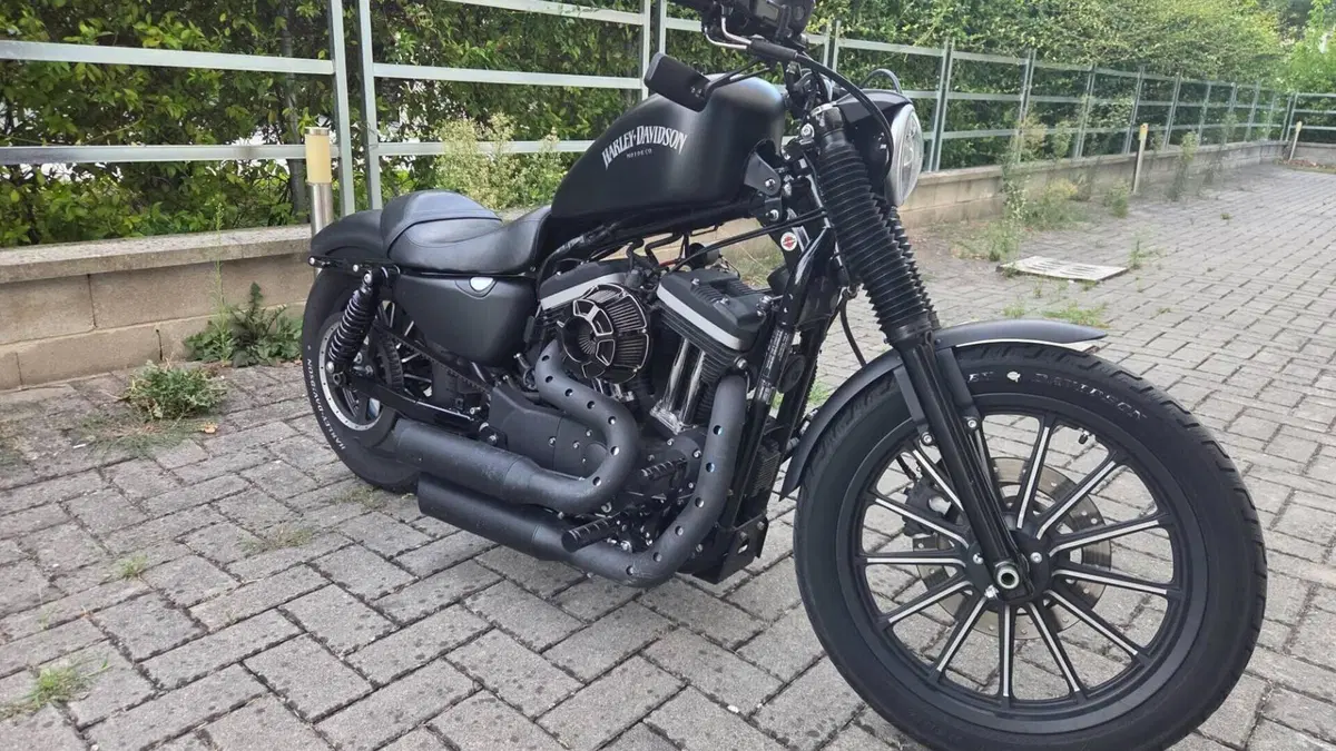 Harley-Davidson 883 Custom (2008 - 12) - XL 883C  (3)
