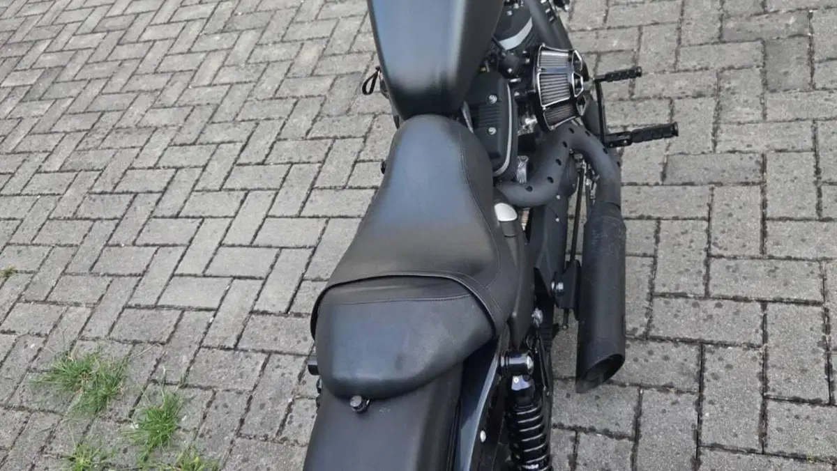 Harley-Davidson 883 Custom (2008 - 12) - XL 883C  (4)