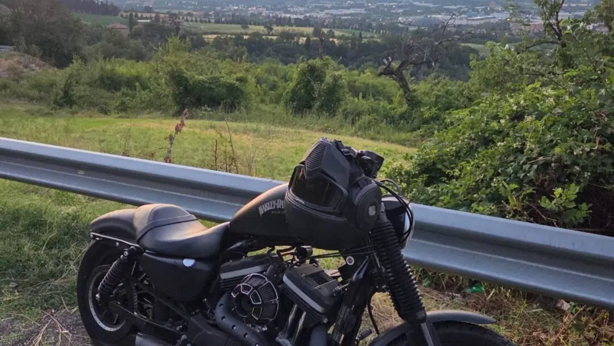 Harley-Davidson 883 Custom (2008 - 12) - XL 883C 