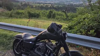 Harley-Davidson 883 Custom (2008 - 12) - XL 883C usata