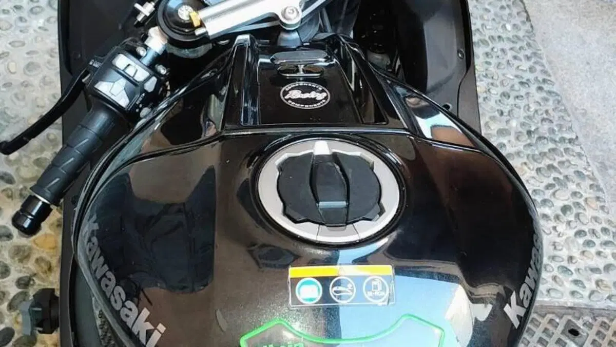Kawasaki Ninja 1000 ZX-10R Performance (2026)  (2)