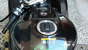 Kawasaki Ninja 1000 ZX-10R Performance (2026)  (2)