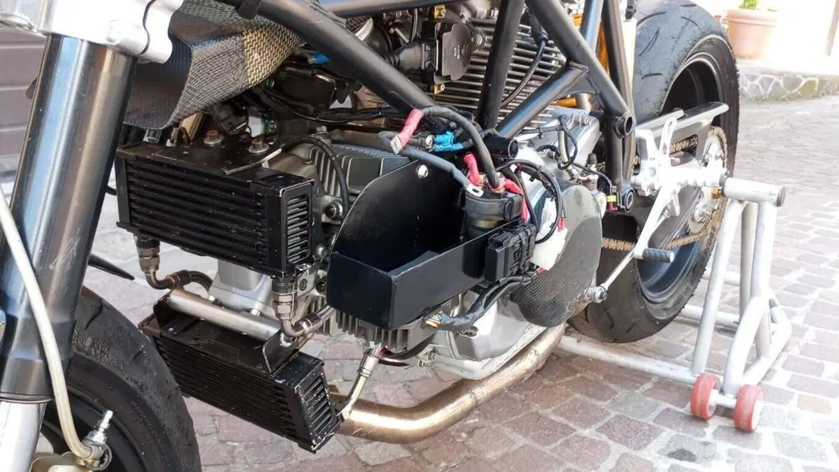 Ducati   (10)