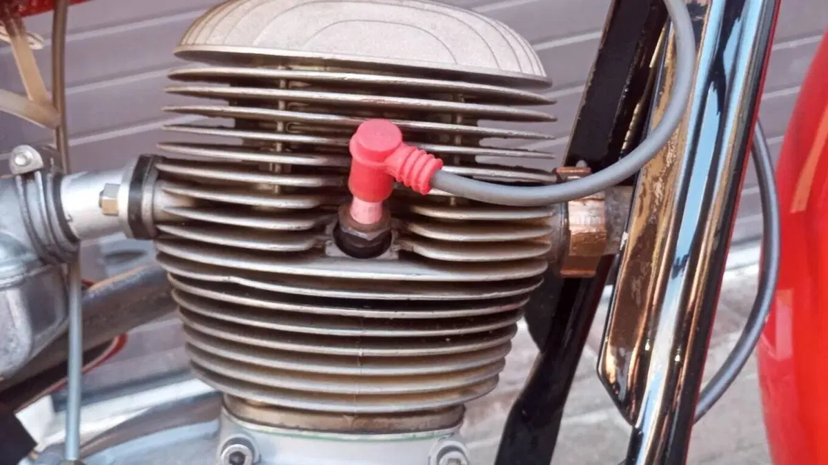 Gilera   (10)