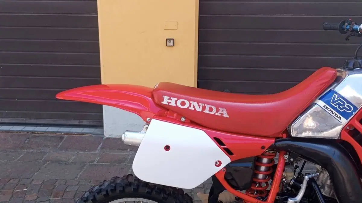 Honda   (11)