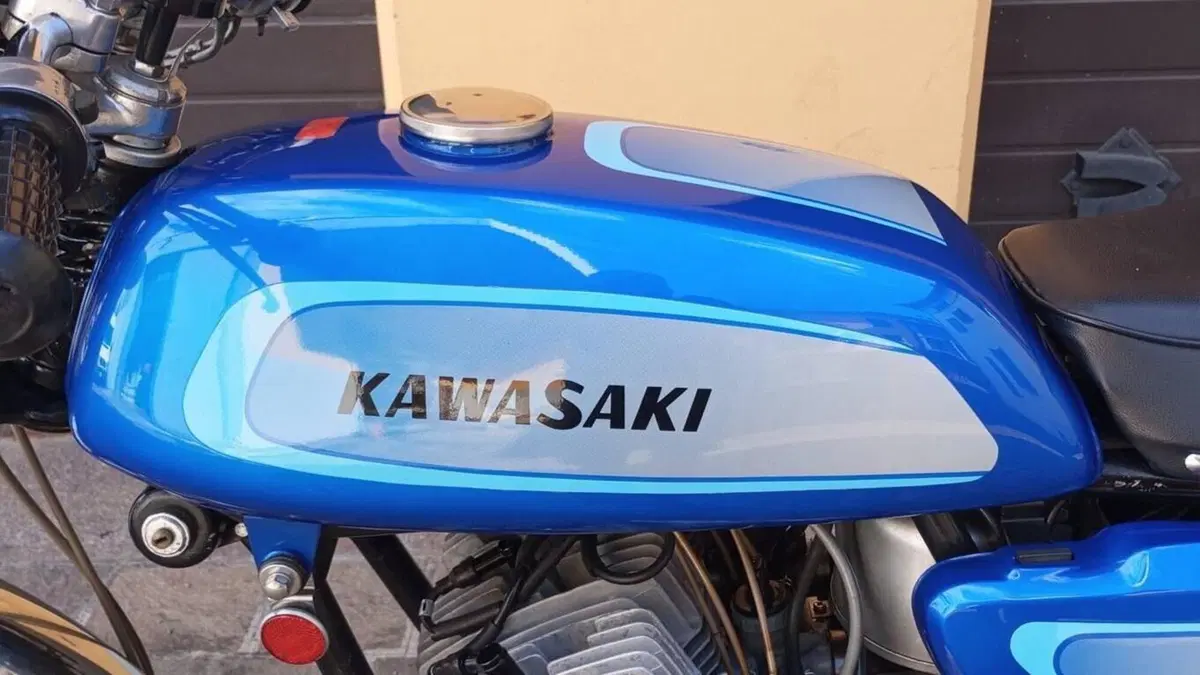 Kawasaki   (17)