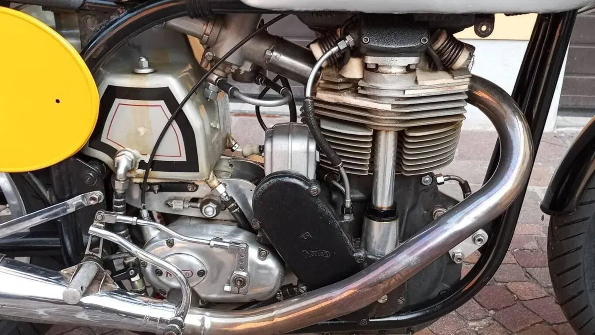 Norton   (3)